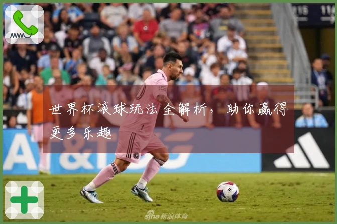 世界杯滚球玩法全解析，助你赢得更多乐趣