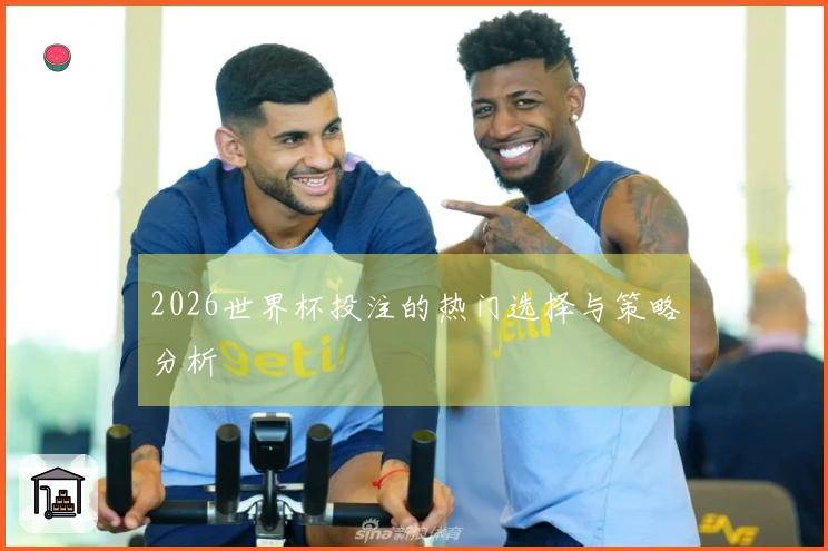 2026世界杯投注的热门选择与策略分析