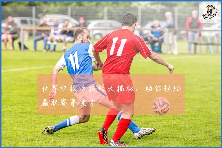 世界杯投注技巧大揭秘，助你轻松赢取赛事奖金