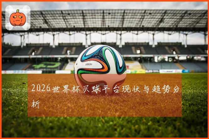 2026世界杯买球平台现状与趋势分析